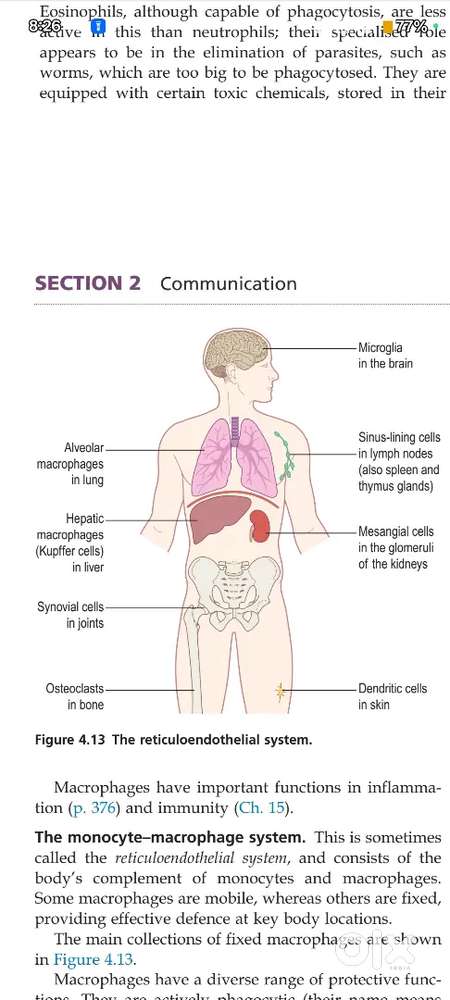 I can teach Class 8th & 10 Science subject