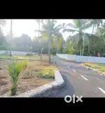 @MOOKANOOR, ONLY 5 KM TO NH,RESIDENTIAL PLOTS FOR SALE AT LESS PRICE