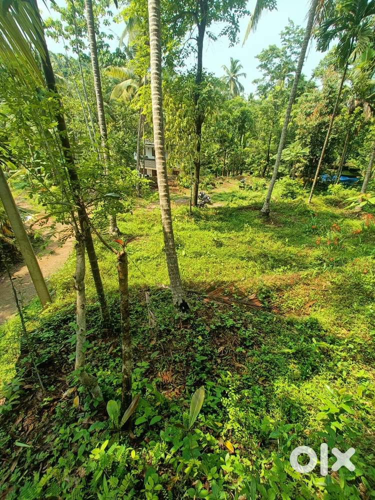 26 cent Land for sale Genuine buyers Contact