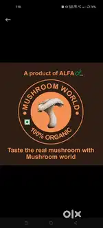 Mushroom sale ,door to door