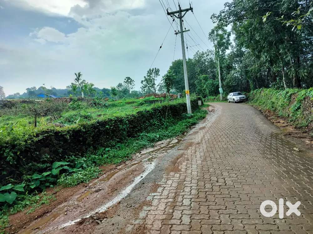 Kanjirappally.podimattam.house.plot.10,15,20,50.cent.centinu.175000