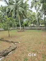 4.5.6.CENT HOUSE PLOT NEAR KAZHAKKOOTTAM JN