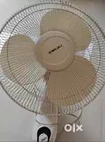 Premium quality Wall Fan