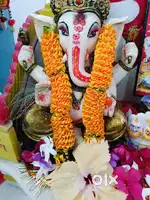 Ganesh enterprise