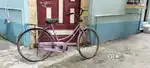 Lady Bird Cycle