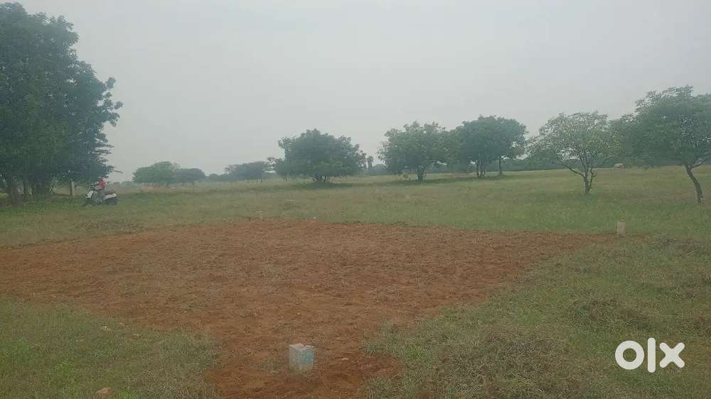 Plot for sale