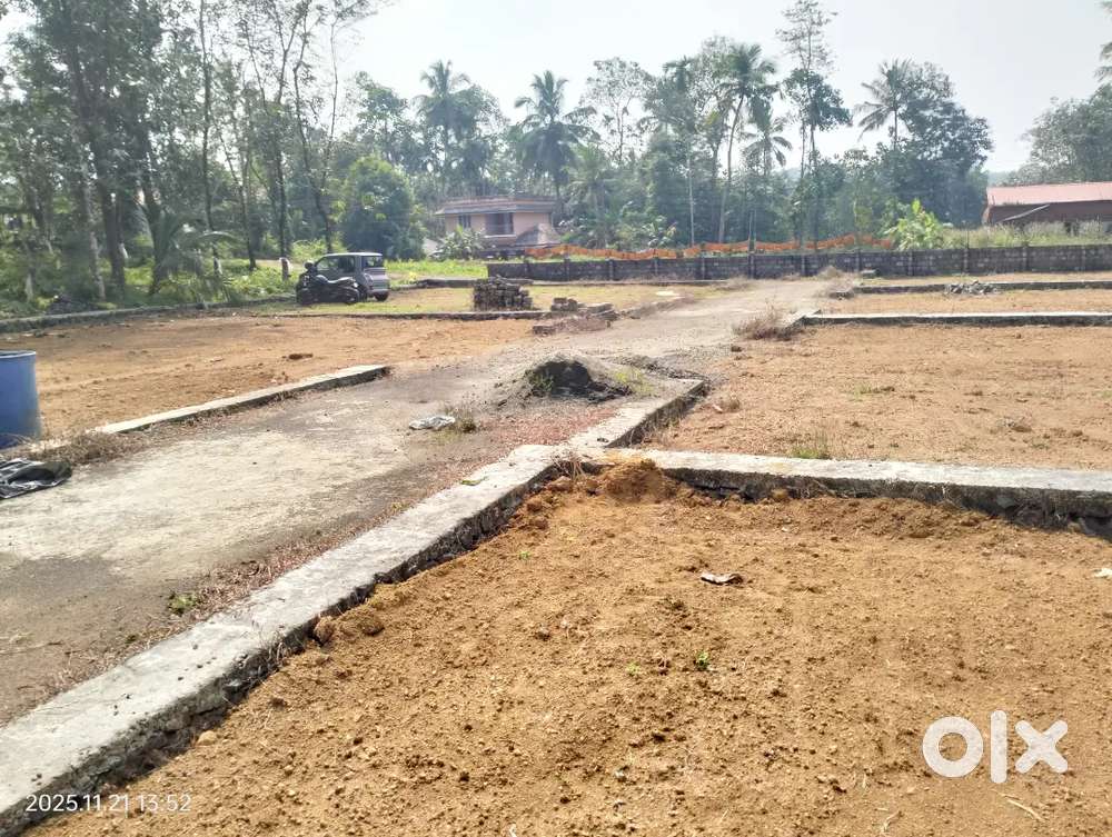 Chottanikkara temple global school area plot for sale