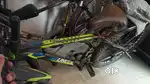 Cycle sell