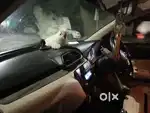 Maruti Suzuki Dzire 2021 Petrol 476500 Km Driven