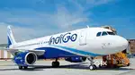 FULL TIME JOB IN INDIGO AIRLINES NEAR BY AIRPORT JOBS FRESHER ARE WELC