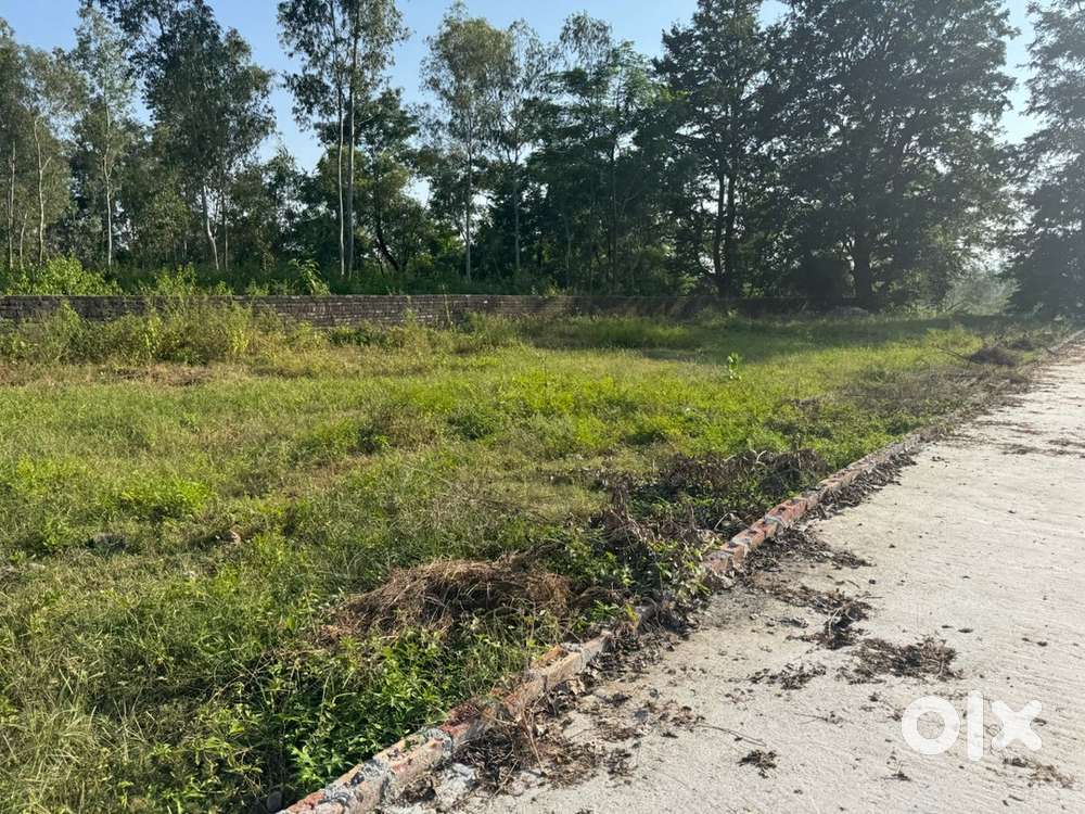 Residential Plot