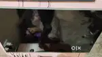 Sale 55 inches vu TV 4k UHD