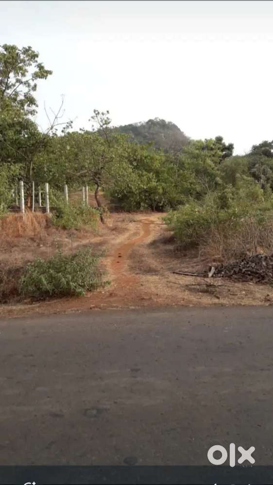 Agri. Land, Area- 0.78 ha), Nr. Dapoli. Suitable for Commercial use