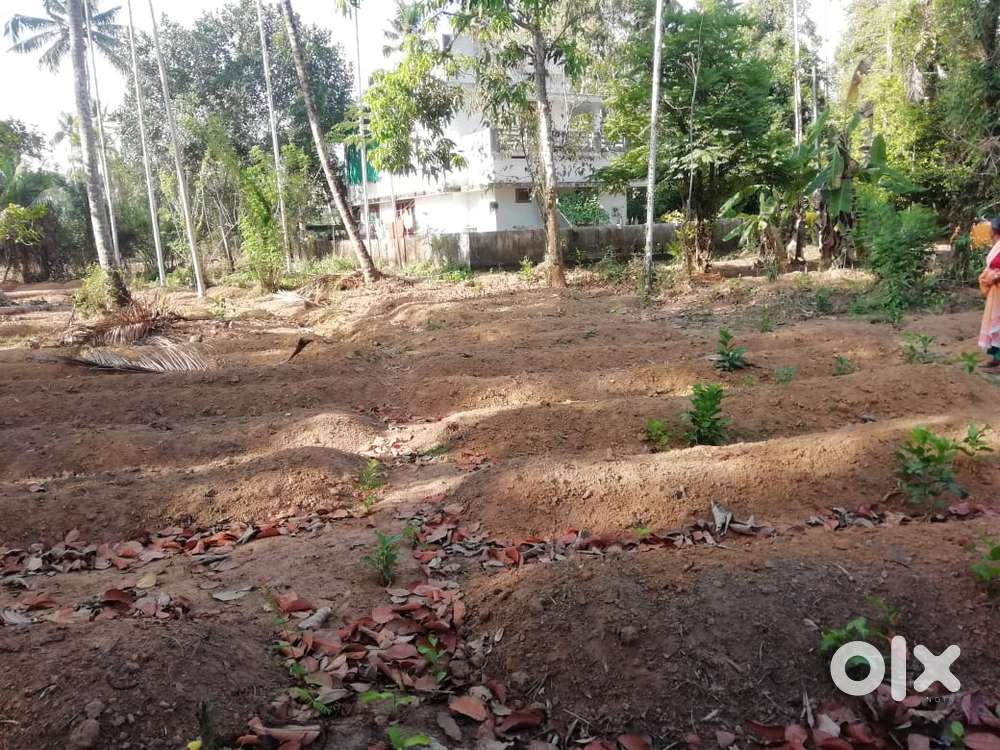 33 cent plot for sale at malapallipuram near mala