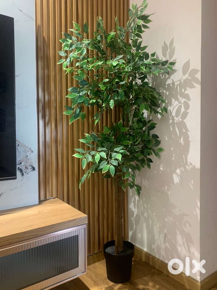 IKEA FEJKA 5.5 ft Artificial Ficus Tree