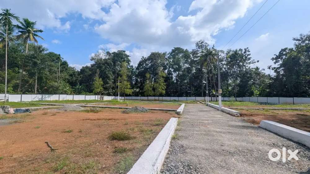 Premium House Plots Near NH–Angamaly Karukutty-90% L -3 L down payment