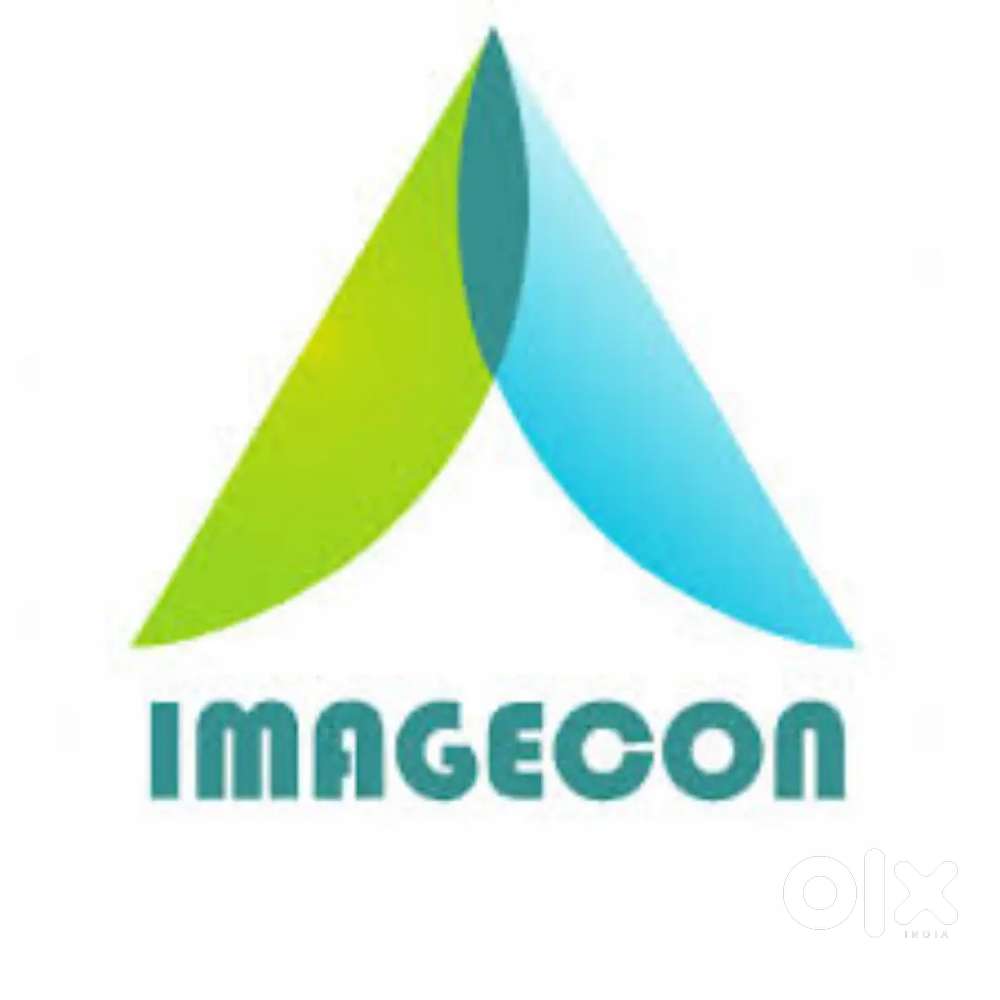 Business Support Executive - Female