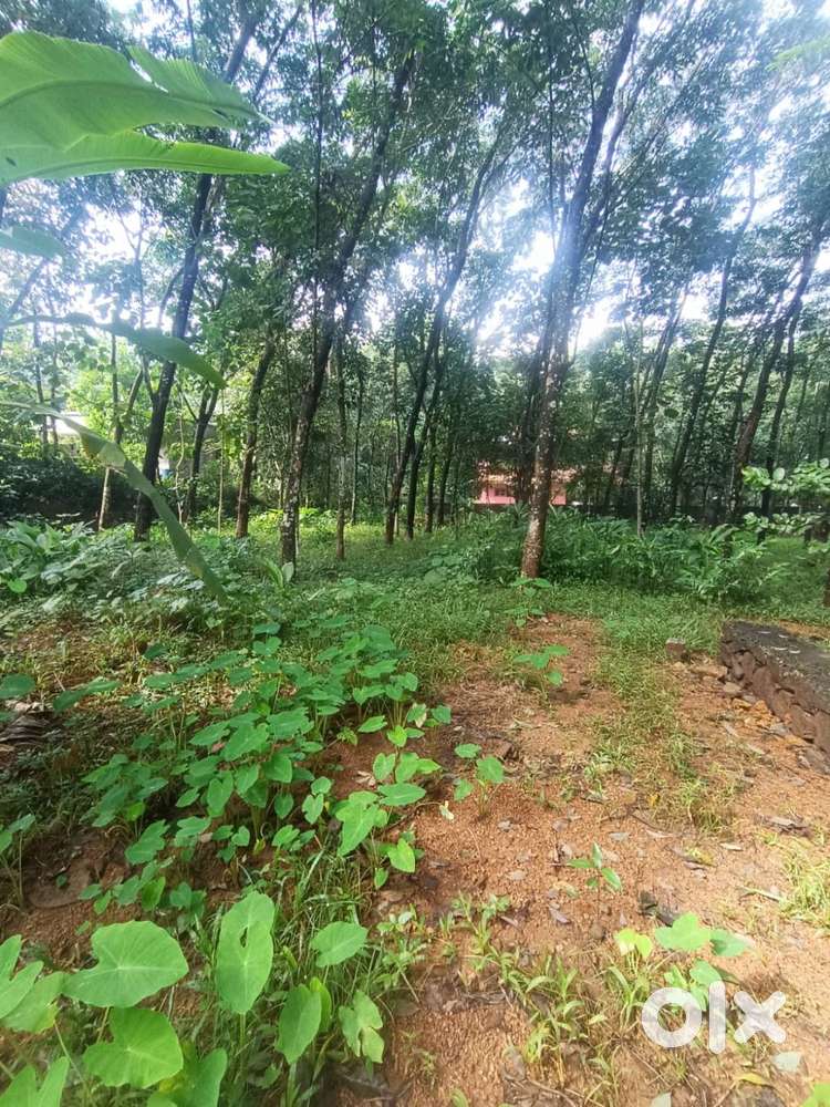 10 cent plot for sale