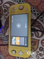 Nintendo switch lite