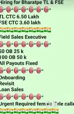 BHARAT PAY EXCUTIVE