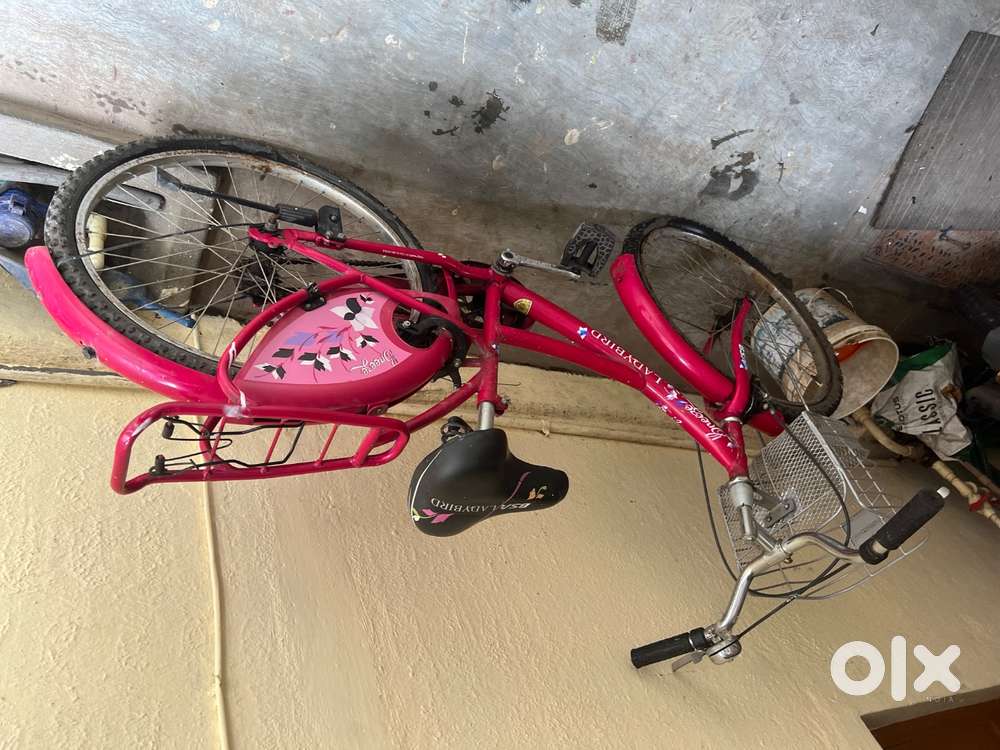 Lady bird bicycle