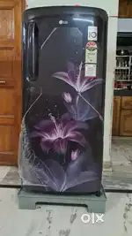LG 2020 model 4 Star Refrigerator