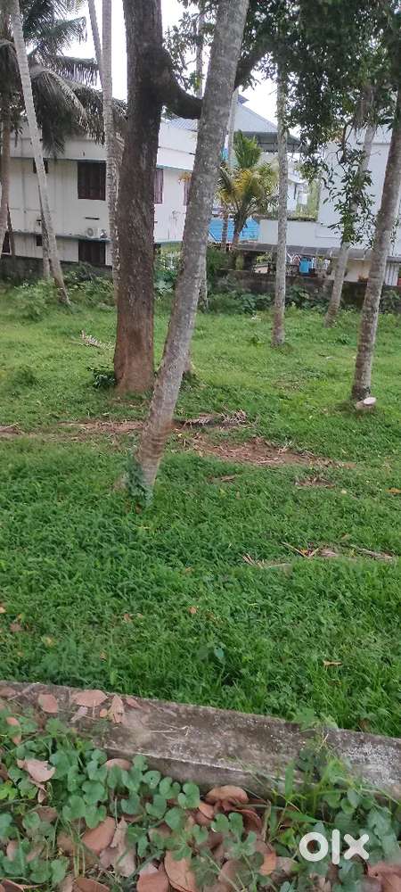 Manacaud 5.5 cent plot sale