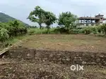 2 katha Miyadi plot in Gog gaon Ahomgaon for Sale