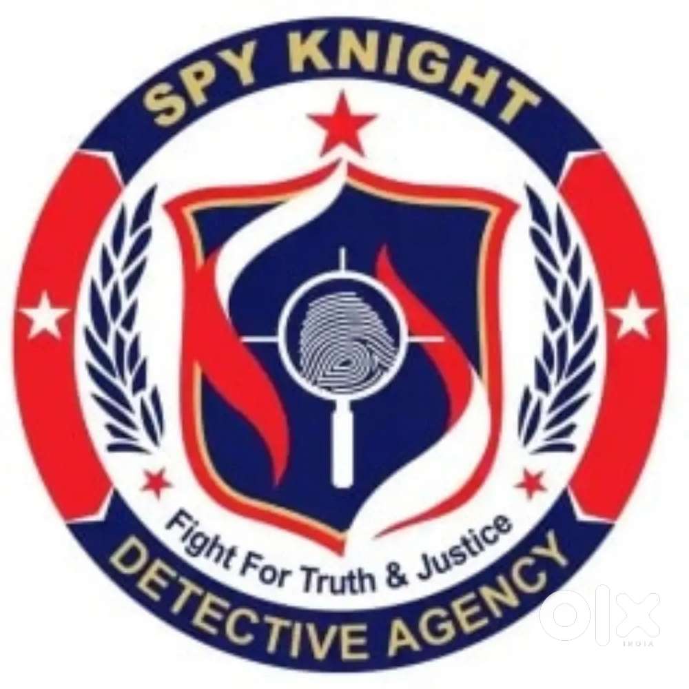 Private investigator