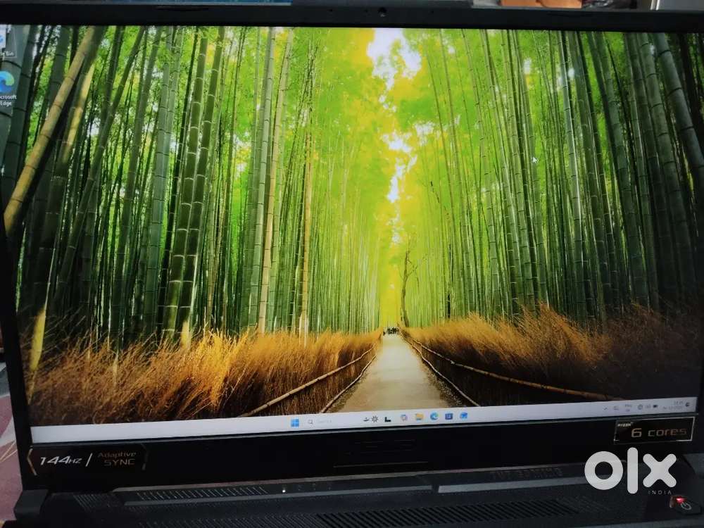 ASUS TUF Gaming A17, AMD Ryzen 5 4600H