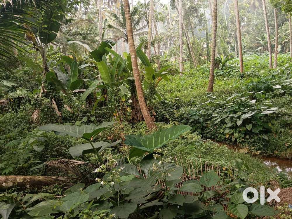 18.5 cent plot for sale