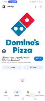 Domino's Pizza delivery partner
