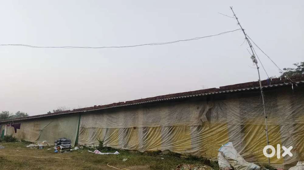 Murgi farm me staff chaiye Full time rhena khana free