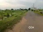 390 गज प्लॉट सेल इन हुडा सेक्टर-27, रोहतक