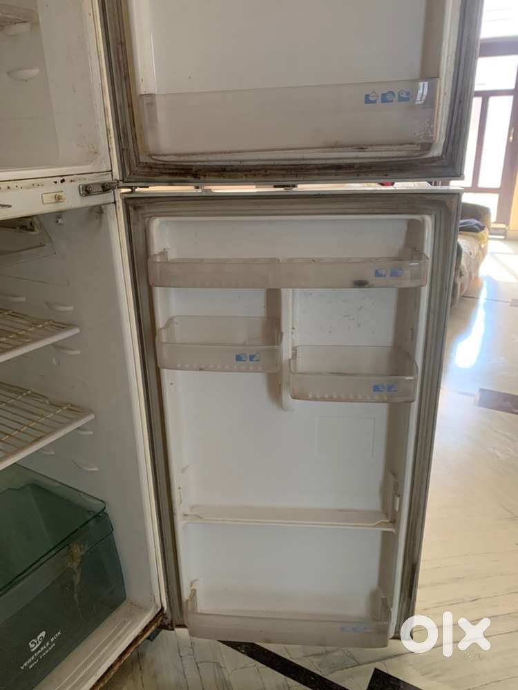 olg fridge