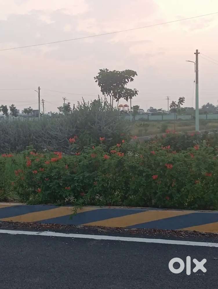 Greenfield Diamond Avenue