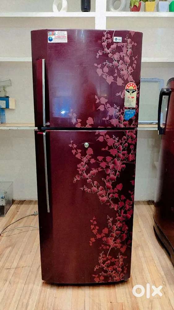 LG 260 L 5 Star Frost-Free Double Door Refrigerator