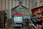 Selling luxury villa