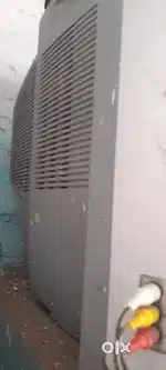 Video cone