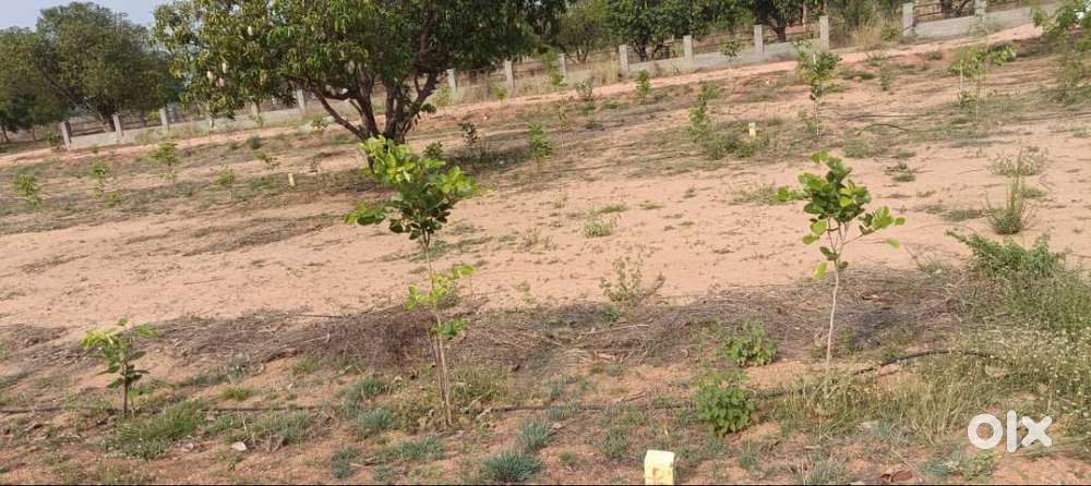 150 Sq. Yard Plot for Sale at JSR Group SunCity Opal