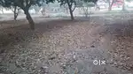 Buy Land In Padraunacity, Betiya