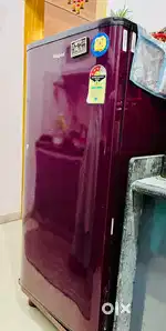 Excellent condition Single door Refrigerator (Whirlpool)