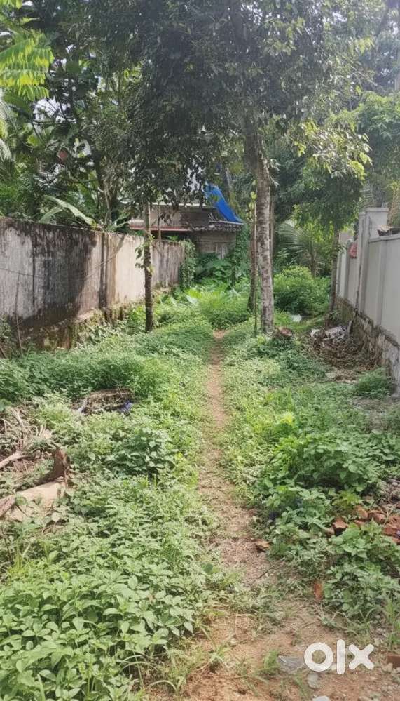 4000 sqft land with 4 wheeler access