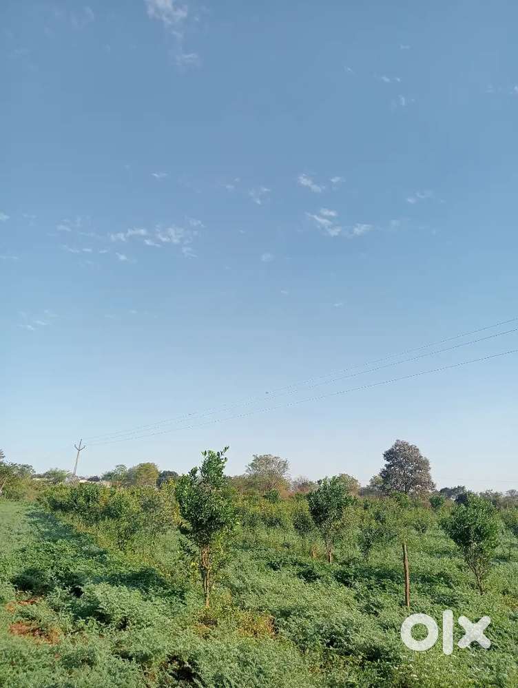 Farm for sale