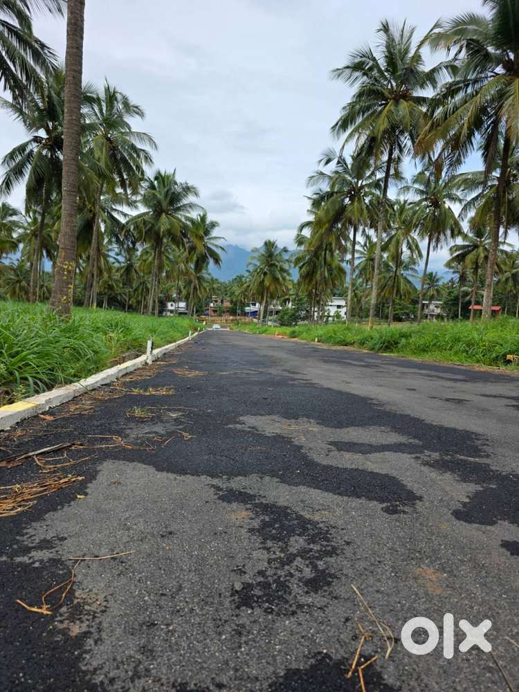9 Cent House plot for sale in Viyyakurissi,Palakkad