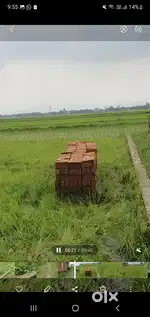 Main Chandauli bajar me plot kashi ram awas ke pass