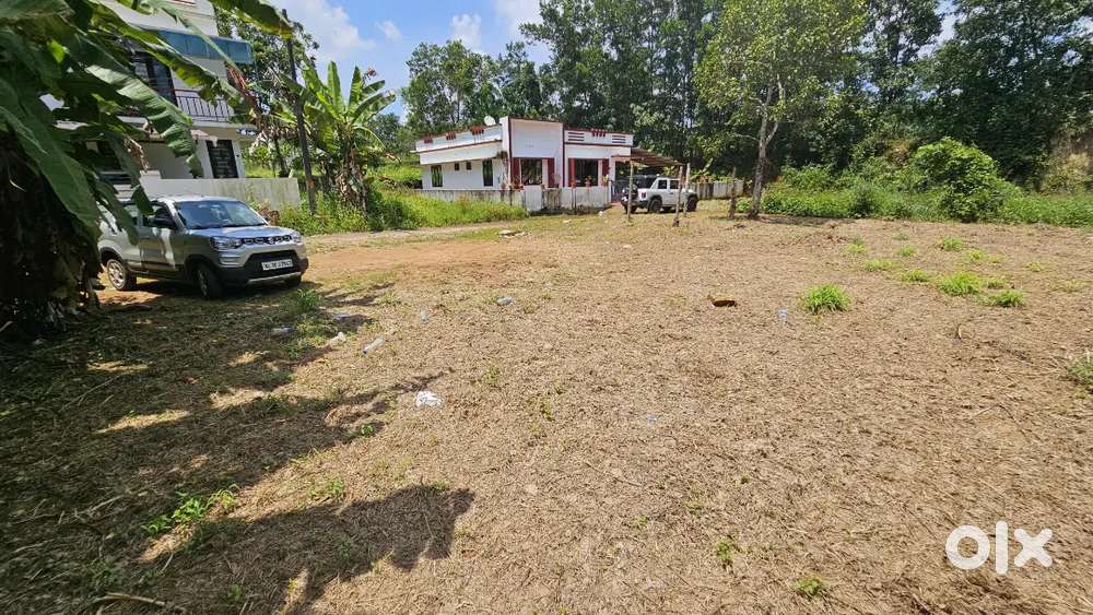 Plot near chottanikkara