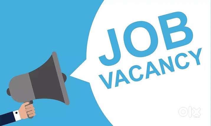 CP sales executive Job