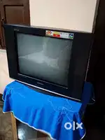 Television