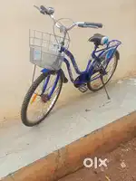 Lady Bird cycle